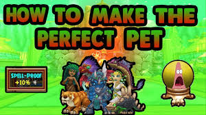 How To Make The Perfect Pet Wizard101