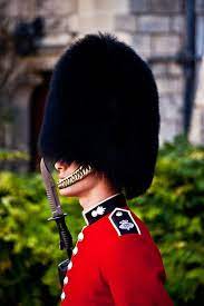 The Pride Of England England Royal Guard British Guard