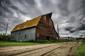 Is there an old barn with a red roof? Gambrel Vs Arch Stubble Jumper Photography