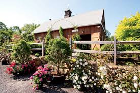 Roseland nursery was established in 1952 by raymond bergeron. Best New England Nurseries Garden Centers New England Today