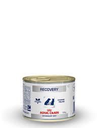 This feed has a high energy density and high concentrations of essential nutrients which are highly digestible. Royal Canin Vdiet Instant Recovery Feline Canine 12x195gr Petgamma