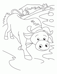 We hope your child enjoys coloring these free printable buffalo coloring pages while she learns more facts about buffaloes. Bison Or Buffalo Coloring Page Coloring Home