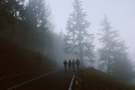 Bild Von Nina Entdeckt Entdecke Und Speichere Deine Eigenen Bilder Und Videos Auf We Heart It Stranger Things Aesthetic The Marauders Stranger Dark academia x forest core things.