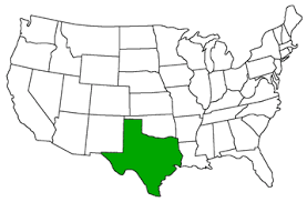 state of texas theme unit printables and worksheets