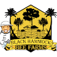 Beginning Beekeeping Class at the Bee Farm event image