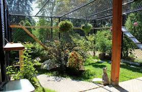 Don T Call It A Cage It S A Catio Cat Enclosure Outdoor Cat Enclosure Cat Patio