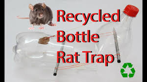 This would be the perfect time to test the theory. Recycled Bottle Rat Trap 13 Steps With Pictures Instructables