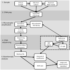 Flow Chart Representing The Workflow Of The Entire Procedure