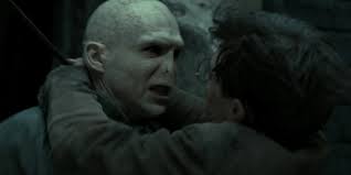 Voldemort and Harry: Connected, but Not Alike