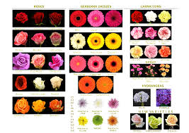 This is our album of tropical flowers, plants, and trees we have seen in the philippines. Philippine Flower Farm Varieties