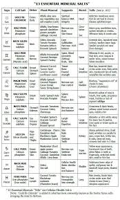 Image Result For Image 12 Cell Salts And Astrology