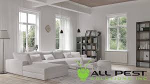 Looking for pest control in franklin? All Pest Solutions Termite Pest Control In Nashville Tn