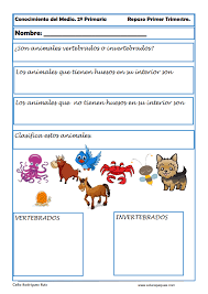 Educación básica conénfasis en preescolar. Comparte En Tus Redes Sociales Ejercicios De Conocimiento Del Medio Para Segundo Primariacalifica E Actividades Para Primaria Fichas Animales Vertebrados