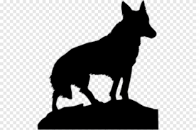 A wolf lives his life by his own rules. Einsamer Wolf Trockenbau Hund Gary Eggsy Unwin Wonder Valley Kalifornien Hund Png Pngegg