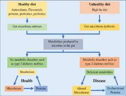 Diagnosed with type 2 diabetes? Unravelling The Involvement Of Gut Microbiota In Type 2 Diabetes Mellitus Sciencedirect