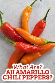 It's super easy to grow pepper plant in pots. 290 Chili Pepper Types And Info Ideas In 2021 Stuffed Peppers Chili Pepper Stuffed Hot Peppers