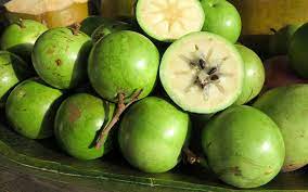 The dominican republic has great potential for producing pitahaya (dragon fruit) for export to markets that its leading producers have not yet satisfied. 25 Best Fruits Of The Dominican Republic Exotic And Popular Fruits In Dr