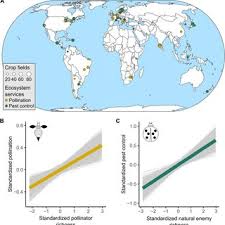 Lisateavet mitchell pest control inc kohta leiate veebisaidilt www.mitchellpestcontrol.com. Pdf A Global Synthesis Reveals Biodiversity Mediated Benefits For Crop Production