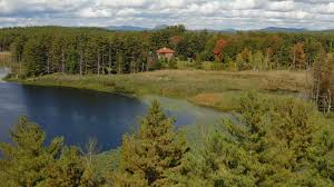 The Freeman Berkshires: A shared estate