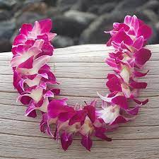 Purple Orchid Lei Orchid Lei Purple Orchids Orchids
