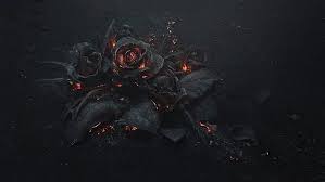 Große auswahl an gothic kleidung, accessoires & high heels bestellen! Fire Rose 1080p 2k 4k 5k Hd Wallpapers Free Download Wallpaper Flare