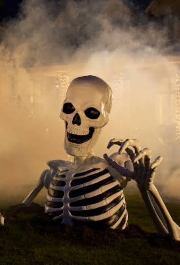 Halloween Decor | Ghosts, Pumpkins, Wall & Table Decor | At Home