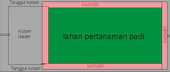 Ketika ditemukan tanaman padi maka sistem pertanian menjadi semakin meningkat dan berkembang menjadi sistem persawahan. Http 36 82 106 238 8885 Jurnal Index Php Jai Article Viewfile 621 585