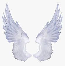 Free Angel Wings Transparent Background Angel Transparent Background Wing Png Png Download Is Free Transp Wings Png Background For Photography Image Overlay