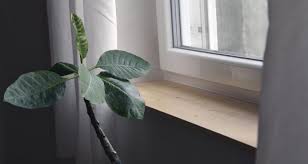 Fensterbank agglo snow white poliert ab 14,90 € 14,90 €. Schicke Holz Fensterbretter Fur 30 Euro Selbst Gemacht Jfhp De