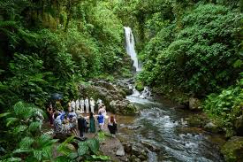 Pin On Weddings At La Paz Waterfall Gardens Peace Lodge Costa Rica Photography By Fabian Murillo