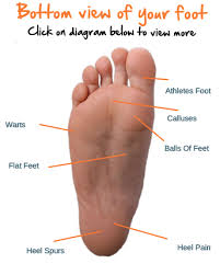 Pin On Podiatry