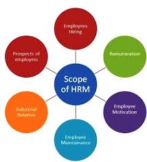 Scope Of Human Resource Management What Is Human Resource