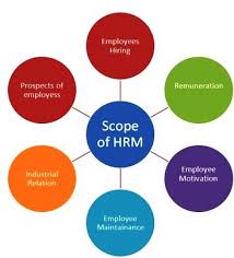 scope of human resource management what is human resource