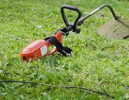 Power and unlimited time and reach. Cordless Electric Gas Grass Trimmers And Weed Wackers Canadian Tire
