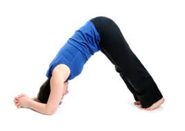 How To Do Dolphin Pose In Yoga Yogaoutlet Com