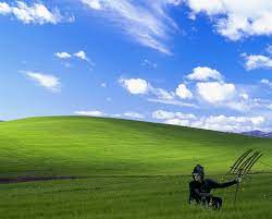 Bright green trees & red creek. Schitt S Creek On Twitter Had Some Time So Made This Desktop Background For All Of Us Still Using Windows Xp