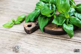 Basil oil is extremely beneficial to speed up hair growth. Reduce Hair Loss With Basil Is It Possible