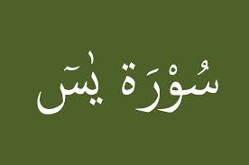 Dinamai al muddatstsir (orang yang berkemul) diambil dari perkataan al muddatstsir yang terdapat pada. Tafsir Surat Yasin Ayat 9 10 Ngaji Kilat