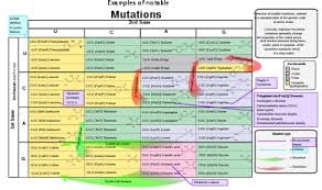 genetic code wikipedia