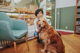 Hundesalon / Hundefriseur Leyla