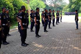 Dapatkan pekerjaan impian anda di sekitar jember dengan jobsdb. Jasa Penyedia Pengadaan Outsourcing Satuan Kemanan Satpam Security Kebersihan Packing Di Parigi Oktober 2016