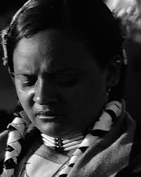 This map by Pierre DuPont Vuilleumier shows the many Wampanoag tribes that  lived