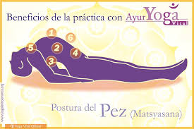 Matsyasana En 2020 Yoga Vital Profesor De Yoga Mejor Postura