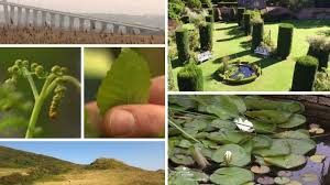 L'emission histoire de se balader avec la classe de bac pro horticole. Histoire De Se Balader France 3 Normandie