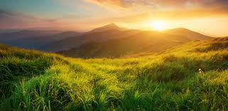 See more at www.sunrise.com.au tweet or instagram @sunriseon7 using #sun7. About Sunrise Technologies Global Microsoft Dynamics 365 Partner