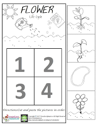Flower Life Cycle Worksheet For Kids Cycles Plant Preschool
