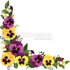 Vector Corner Background With Yellow And Purple Pansy Flowers And Pansies Flowers Pansies Flower Clipart