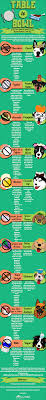 Table To Bowl Dog Health Tips Dog Infographic Human Food