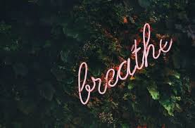 Leg deine hand auf deinen unterbauch und lass den atem langsam bis hinunter zu deiner hand fließen. Innere Ruhe Finden Mit Meditation Entspannungstechniken