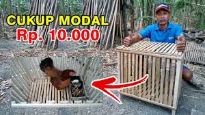 Maybe you would like to learn more about one of these? Bikin Kandang Merpati Sederhana Murah Meriah Youtube